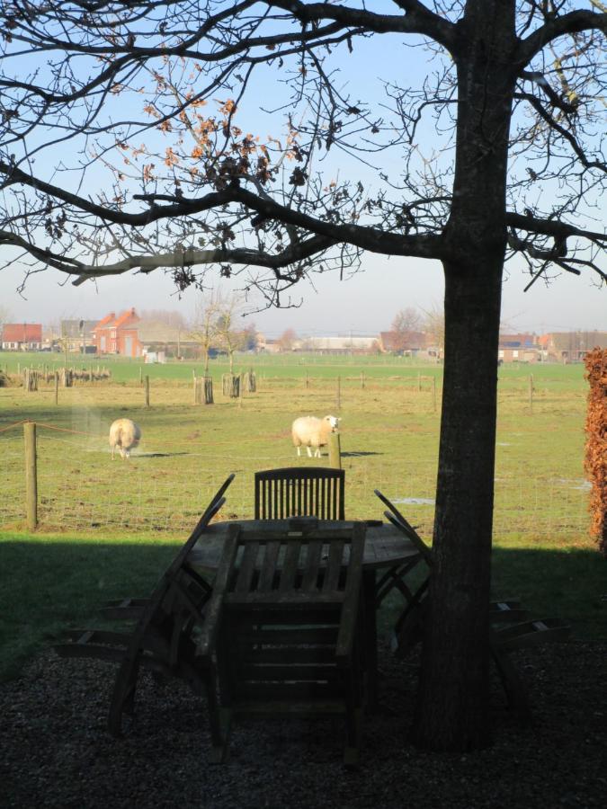 B&B De Pethaan Wielsbeke Exterior foto